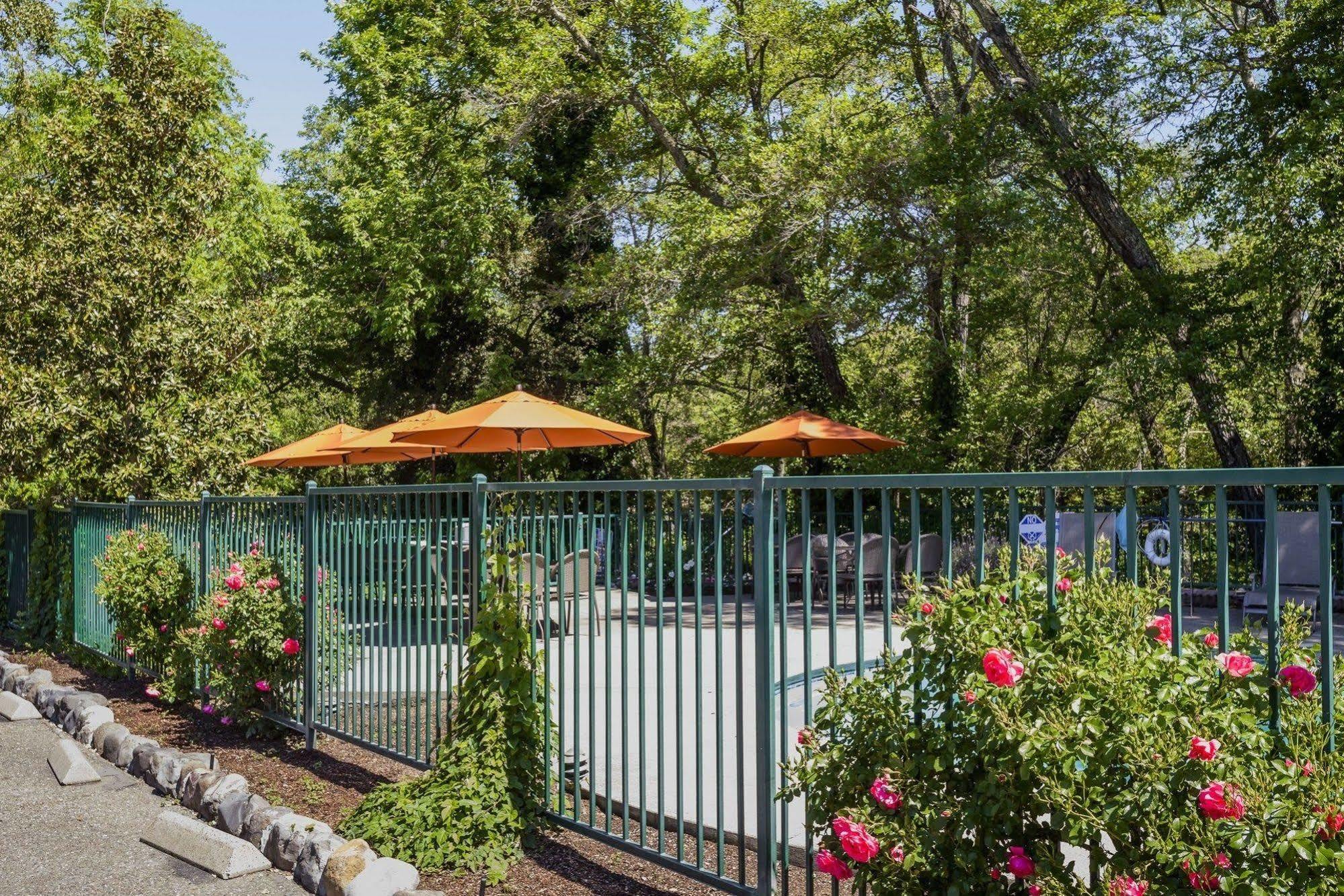 The Jack London Lodge Glen Ellen Ngoại thất bức ảnh